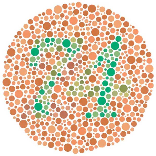 An example of an Ishihara plate, the most well known colour blindness test.